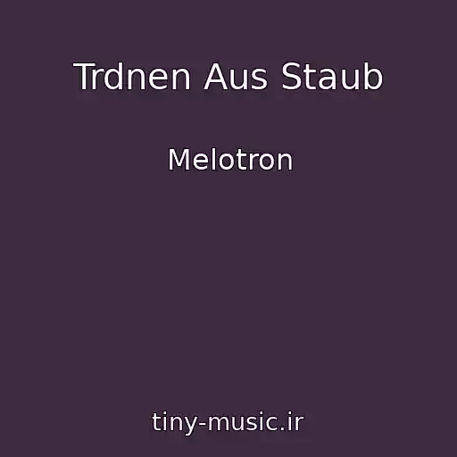 کاور آهنگ Trdnen Aus Staub از Melotron