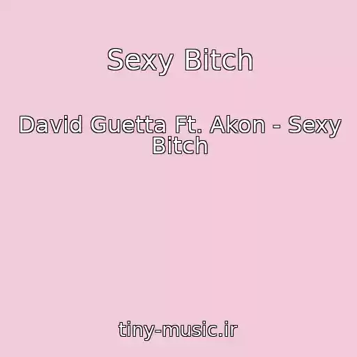 کاور آهنگ Sexy Bitch از David Guetta Ft. Akon - Sexy Bitch