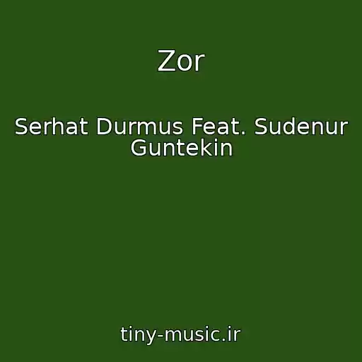 کاور آهنگ Zor از Serhat Durmus Feat. Sudenur Guntekin