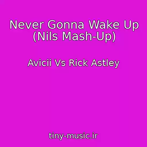 کاور آهنگ Never Gonna Wake Up (Nils Mash-Up) از Avicii Vs Rick Astley