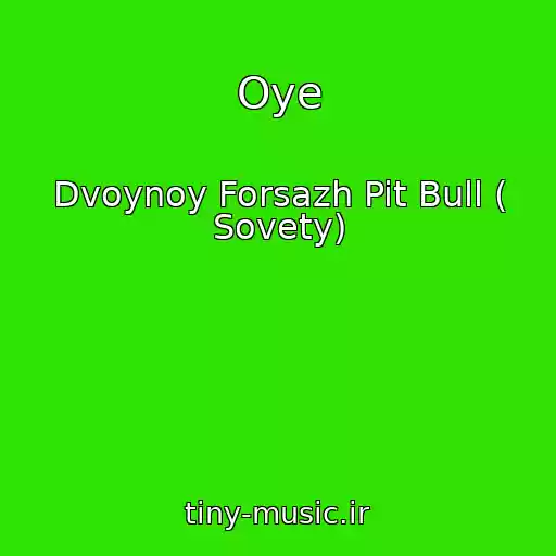 کاور آهنگ Oye از Dvoynoy Forsazh Pit Bull ( Sovety)