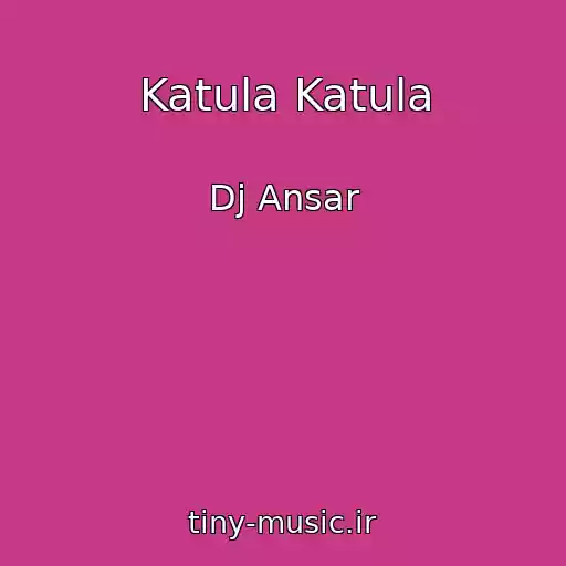کاور آهنگ Katula Katula از Dj Ansar