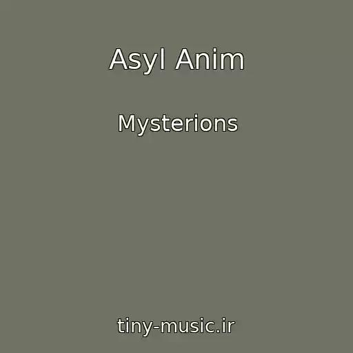 کاور آهنگ Asyl Anim از Mysterions