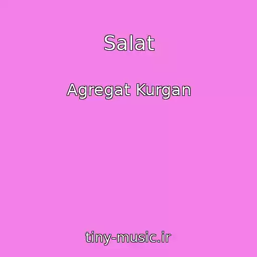 کاور آهنگ Salat از Agregat Kurgan