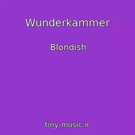 کاور آهنگ Wunderkammer از Blondish