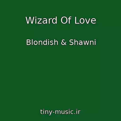 کاور آهنگ Wizard Of Love از Blondish & Shawni