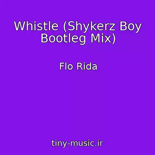 کاور آهنگ Whistle (Shykerz Boy Bootleg Mix) از Flo Rida