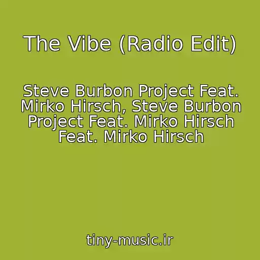 کاور آهنگ The Vibe (Radio Edit) از Steve Burbon Project Feat. Mirko Hirsch, Steve Burbon Project Feat. Mirko Hirsch Feat. Mirko Hirsch