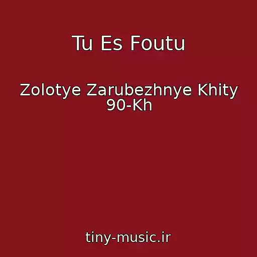 کاور آهنگ Tu Es Foutu از Zolotye Zarubezhnye Khity 90-Kh
