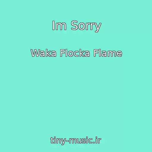 کاور آهنگ Im Sorry از Waka Flocka Flame