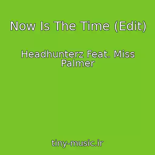 کاور آهنگ Now Is The Time (Edit) از Headhunterz Feat. Miss Palmer
