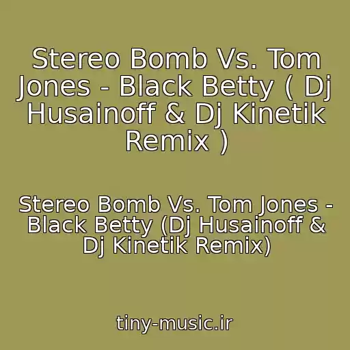 کاور آهنگ Stereo Bomb Vs. Tom Jones - Black Betty ( Dj Husainoff & Dj Kinetik Remix ) از Stereo Bomb Vs. Tom Jones - Black Betty (Dj Husainoff & Dj Kinetik Remix)