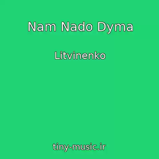 کاور آهنگ Nam Nado Dyma از Litvinenko