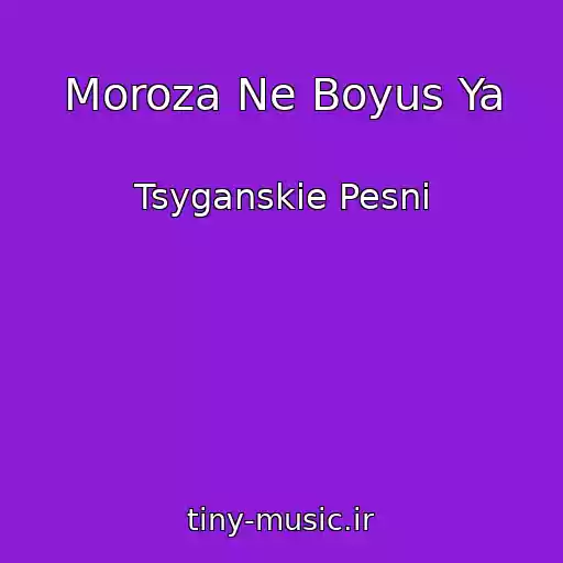کاور آهنگ Moroza Ne Boyus Ya از Tsyganskie Pesni