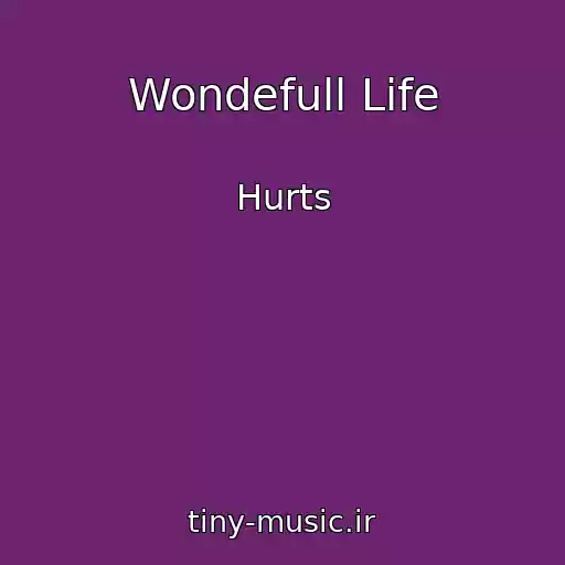 کاور آهنگ Wondefull Life از Hurts