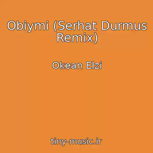 کاور آهنگ Obіymi (Serhat Durmus Remix) از Okean Elzi