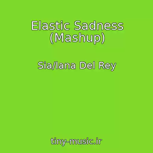 کاور آهنگ Elastic Sadness (Mashup) از Sia/lana Del Rey