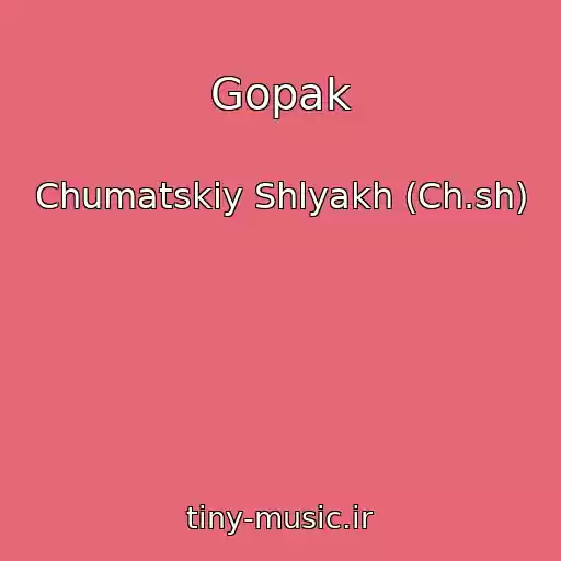کاور آهنگ Gopak از Chumatskiy Shlyakh (Ch.sh)