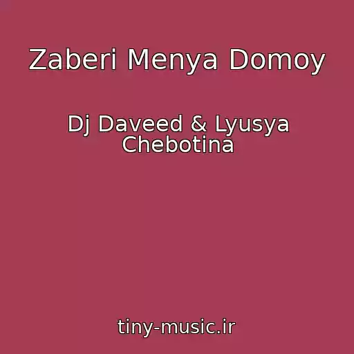کاور آهنگ Zaberi Menya Domoy از Dj Daveed & Lyusya Chebotina