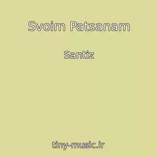 کاور آهنگ Svoim Patsanam از Santiz