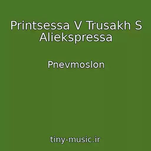 کاور آهنگ Printsessa V Trusakh S Aliekspressa از Pnevmoslon