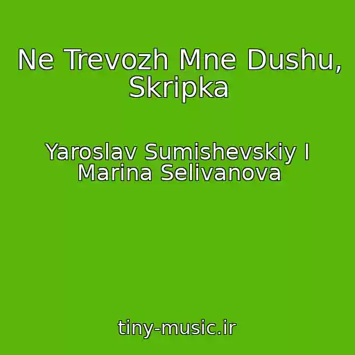 کاور آهنگ Ne Trevozh Mne Dushu, Skripka از Yaroslav Sumishevskiy I Marina Selivanova