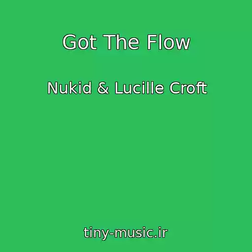 کاور آهنگ Got The Flow از Nukid & Lucille Croft