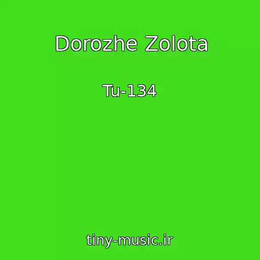 کاور آهنگ Dorozhe Zolota از Tu-134