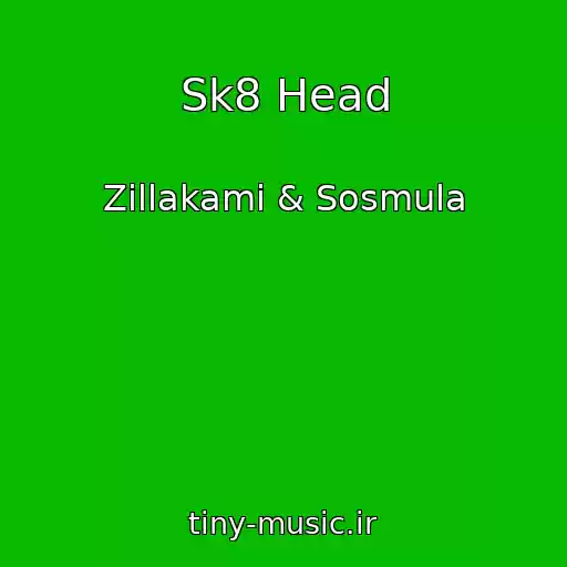 کاور آهنگ Sk8 Head از Zillakami & Sosmula