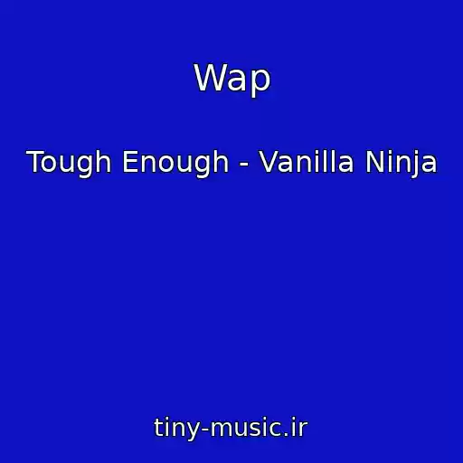کاور آهنگ Wap از Tough Enough - Vanilla Ninja