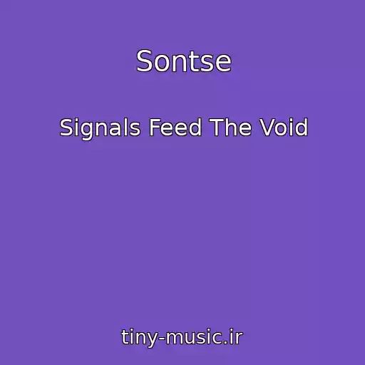 کاور آهنگ Sontse از Signals Feed The Void