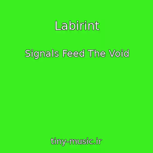 کاور آهنگ Labіrint از Signals Feed The Void