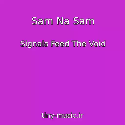 کاور آهنگ Sam Na Sam از Signals Feed The Void