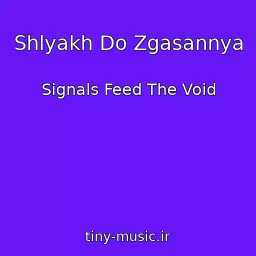 کاور آهنگ Shlyakh Do Zgasannya از Signals Feed The Void
