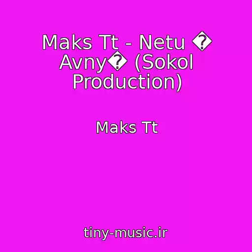 کاور آهنگ Maks Tt - Netu � Avny� (Sokol Production) از Maks Tt