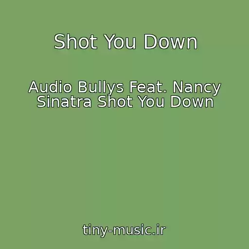 کاور آهنگ Shot You Down از Audio Bullys Feat. Nancy Sinatra Shot You Down