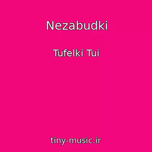 کاور آهنگ Nezabudki از Tufelki Tui