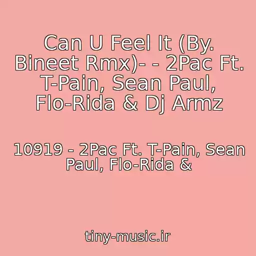کاور آهنگ Can U Feel It (By. Bineet Rmx)- - 2Pac Ft. T-Pain, Sean Paul, Flo-Rida & Dj Armz از 10919 - 2Pac Ft. T-Pain, Sean Paul, Flo-Rida &
