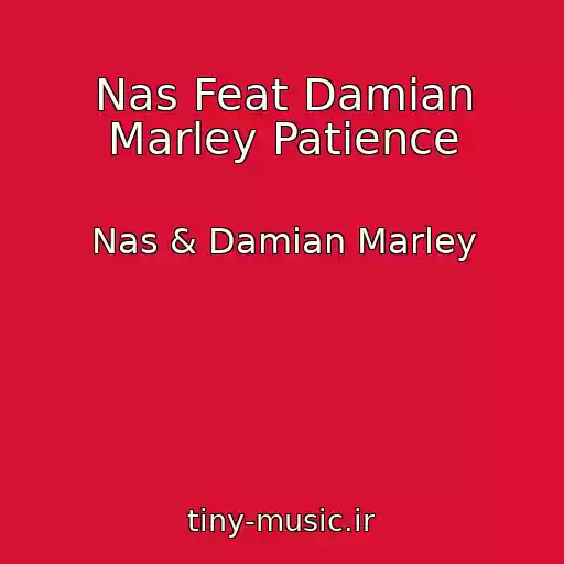 کاور آهنگ Nas Feat Damian Marley Patience از Nas & Damian Marley
