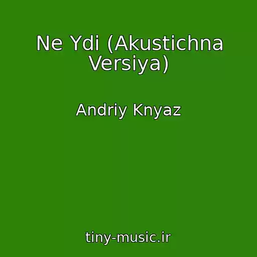 کاور آهنگ Ne Ydi (Akustichna Versіya) از Andrіy Knyaz