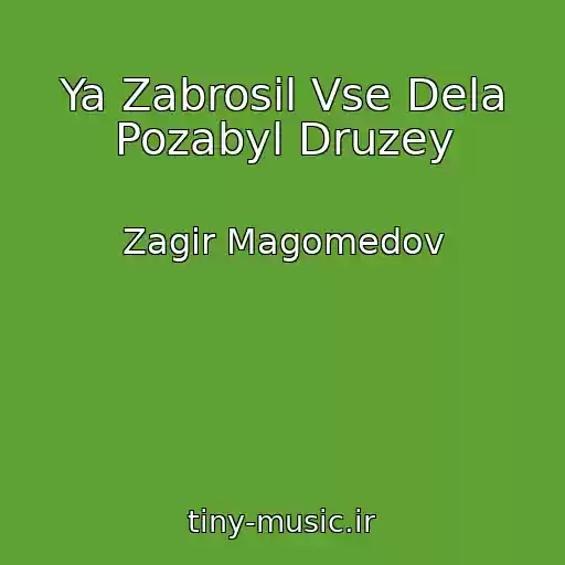 کاور آهنگ Ya Zabrosil Vse Dela Pozabyl Druzey از Zagir Magomedov