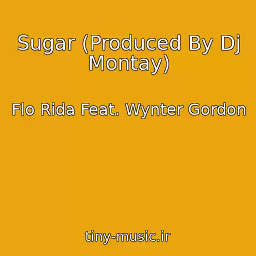 کاور آهنگ Sugar (Produced By Dj Montay) از Flo Rida Feat. Wynter Gordon