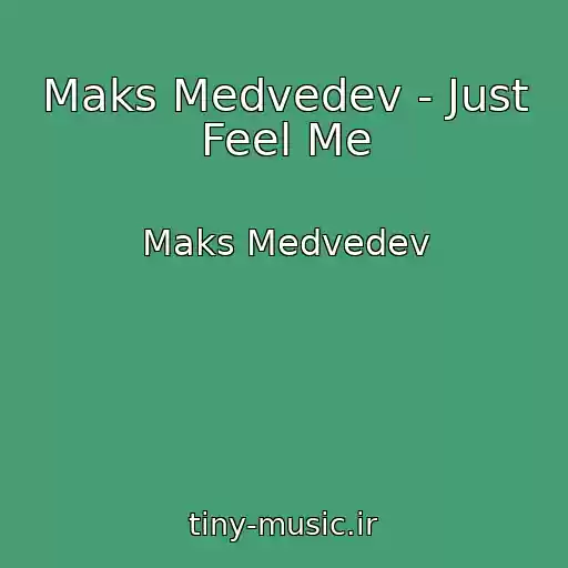کاور آهنگ Maks Medvedev - Just Feel Me از Maks Medvedev