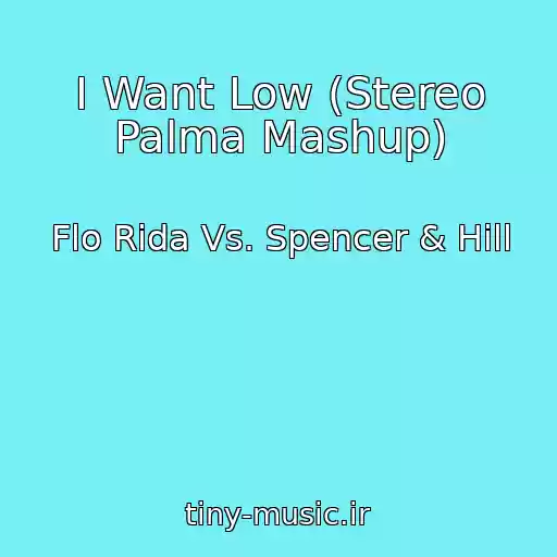 کاور آهنگ I Want Low (Stereo Palma Mashup) از Flo Rida Vs. Spencer & Hill