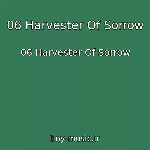 کاور آهنگ 06 Harvester Of Sorrow از 06 Harvester Of Sorrow