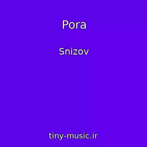 کاور آهنگ Pora از Snizov
