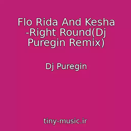 کاور آهنگ Flo Rida And Kesha -Right Round(Dj Puregin Remix) از Dj Puregin