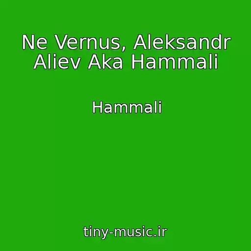 کاور آهنگ Ne Vernus, Aleksandr Aliev Aka Hammali از Hammali