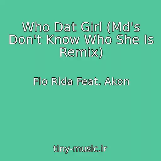 کاور آهنگ Who Dat Girl (Md's Don't Know Who She Is Remix) از Flo Rida Feat. Akon