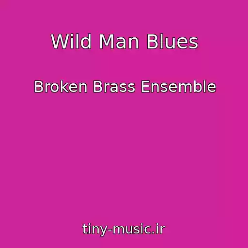کاور آهنگ Wild Man Blues از Broken Brass Ensemble